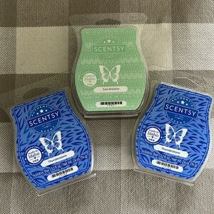 Scentsy bar bundle